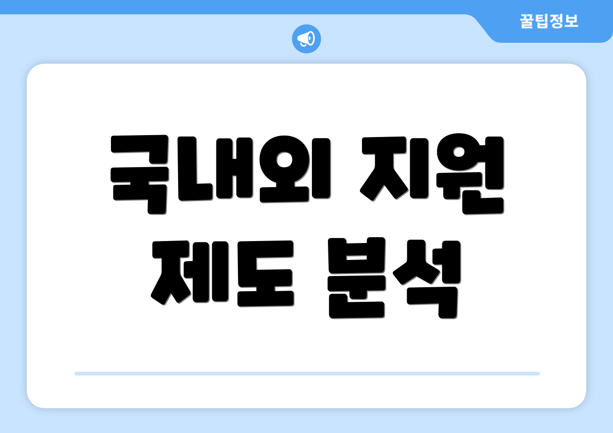 국내외 지원 제도 분석