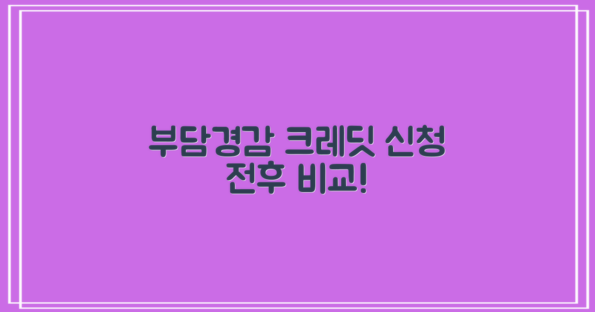 부담경감 크레딧 신청 전후 과정 비교