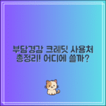 부담경감 크레딧 사용처 총정리｜어디서 쓸 수 있을까?