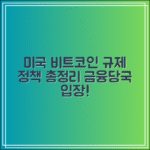 미국 비트코인 규제 정책｜금융당국 입장 총정리