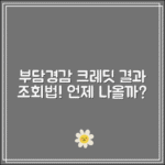 부담경감 크레딧 결과 조회 방법｜신청 후 언제 나와?